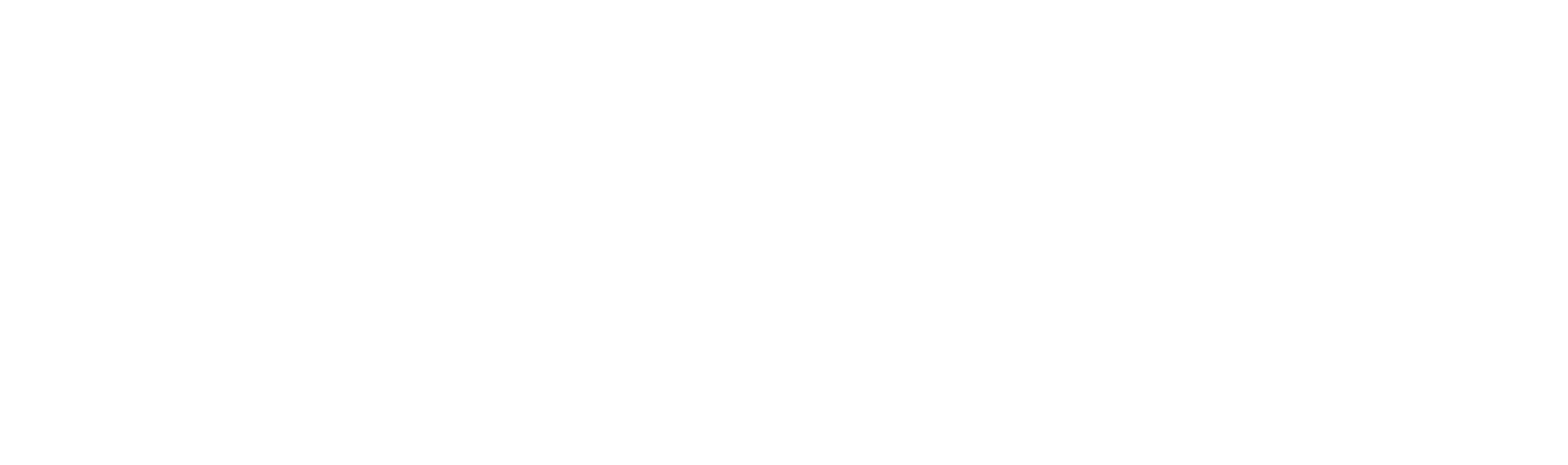 Hundepension